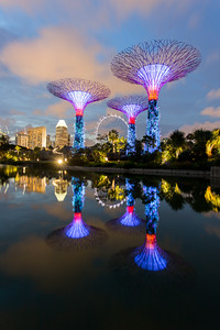 ../images/singaporegardens.jpg